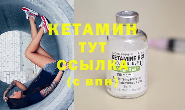 крисы Алексин