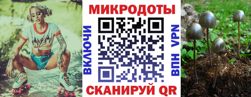 где купить наркоту нарко площадка наркотические препараты Псилоцибиновые грибы Cubensis Ветлуга